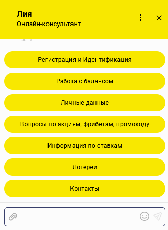Звернення у підтримку контори BetBoom: форма запиту, дані ставки та опис проблеми